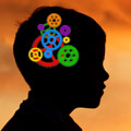 teacher-module-brain_tcm7-90337