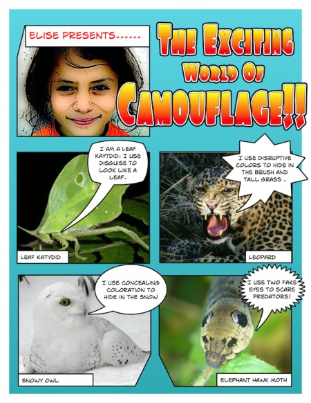 http://oakdome.com/k5/lesson-plans/comic-life/camouflage-comic-strip.php