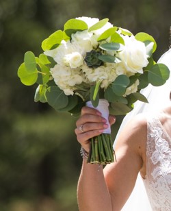 Cole Hofstra Photography